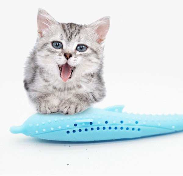 Interactive cat Toothbrush