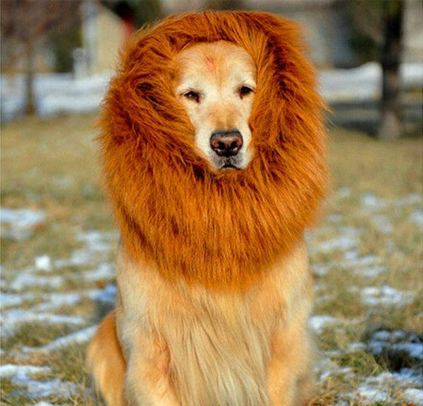 Lion Mane Wig for Dogs