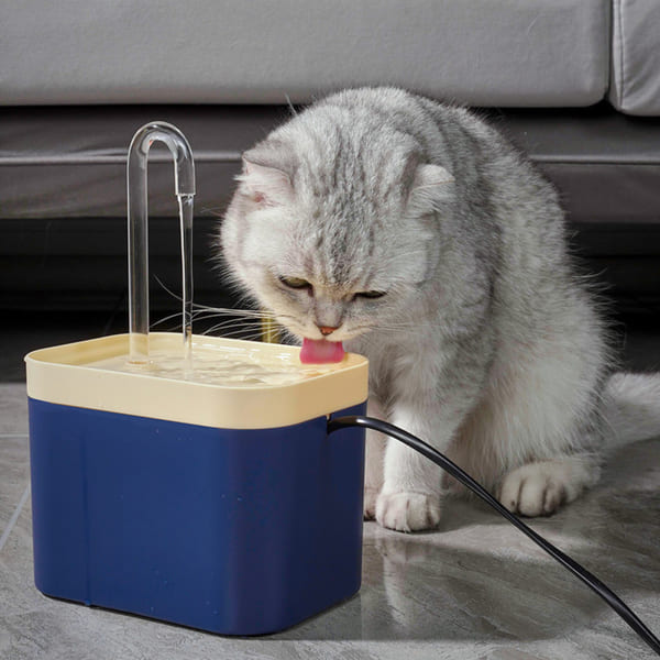 Pet Water Fountain