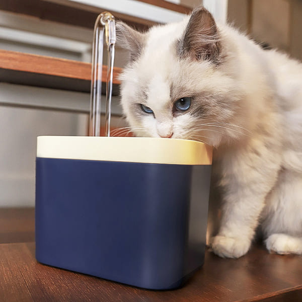 Pet Water Fountain