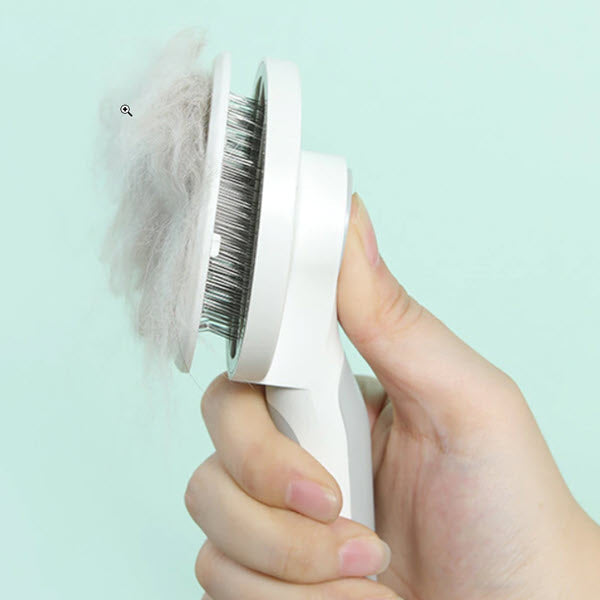 Self Cleaning Brush